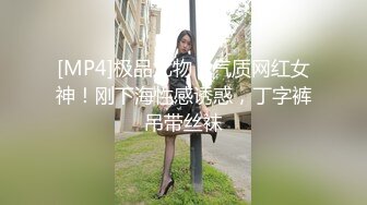 [MP4]极品尤物！气质网红女神！刚下海性感诱惑，丁字裤吊带丝袜