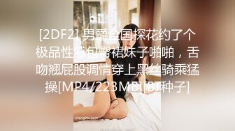 国产麻豆AV MD MD0227 色欲女导游 米亚