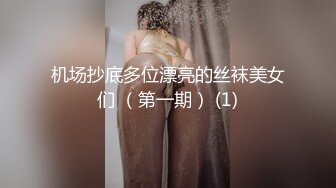 机场抄底多位漂亮的丝袜美女们 （第一期） (1)