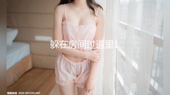 极品巨乳【小狐狸】露脸自慰，足交道具，高潮喷水 (1)