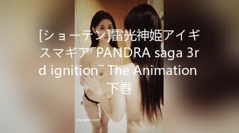 [ショーテン]雷光神姫アイギスマギア―PANDRA saga 3rd ignition― The Animation 下巻