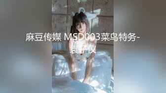 麻豆传媒 MSD003菜鸟特务-袁子仪