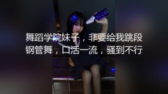 STP34569 大奶女大生車上試玩震蛋性欲全開忍不住在車上啪啪 魏喬安