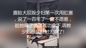 麻豆传媒 MD234《骚妻的周年礼物》前后夹击 疯狂双飞大战 齐操双女神 米亚 张芸熙