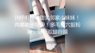 国产麻豆AV 兔子先生 番外篇 EP4 爸气十足 上 绫波丽