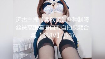 母狗系列 继续骚穴的展示