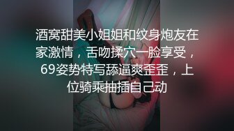 肉丝少妇第三段