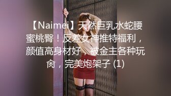 黏黏团子兔 NO.032 100里程碑奖励