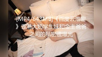 24-蒙着面纱的伊朗人 nadja 在厕所和走廊里被肛交，以支付计划费用