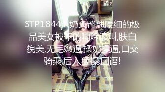 [MP4/ 560M]&nbsp;&nbsp;树屋轻调剧情 女大学生灵灵去面试了一个科研机构的实验项目，却填写了一个关于身体