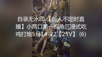 MIDV-664 [无码破解] 媚薬中出し痴●電車に堕ちた気高き美人捜査官ミ