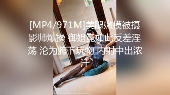 MFK-0026年轻的家政妇