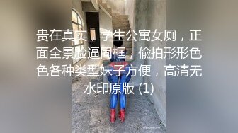 ⚫️⚫️臀控熟女控必备！长腿半老徐娘【虹姐】大尺度私拍②，老骚货买了好多情趣，扭臀晃腰掰开黝黑的肥大阴唇勾引