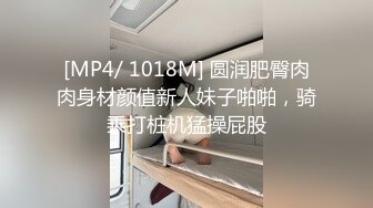 双11大战情趣丝袜少妇