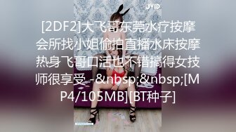 穿着情趣内衣在奶子上写字