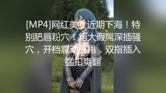 交友软件上约到00后大奶母狗3