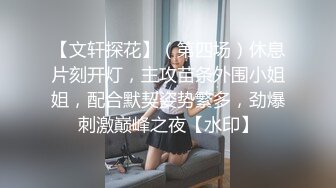 老婆舔鸡巴，揷一个多小时