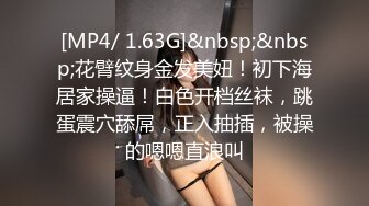 蜜桃传媒 pmc-475 被婆婆欺辱的妻子-艾玛