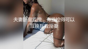 高颜值漂亮少妇偷情