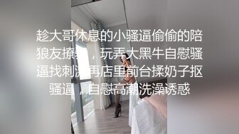 女女同性AV片在线播放免费