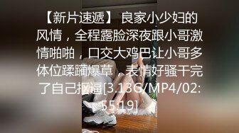 肥臀骚妇宾馆被操