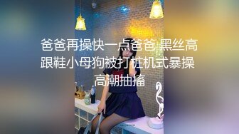 亚洲第一蛇姬女王大人，不雅视频【湾湾外流事件2】