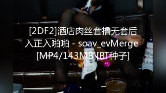 [2DF2]酒店肉丝套撸无套后入正入啪啪 - soav_evMerge [MP4/143MB][BT种子]