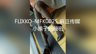 FLIXKO-MFK0025 麻豆传媒 小姨子的秘密