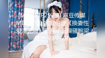 [MP4]STP29790 麻豆传媒 MD-0269 家庭伦理《换妻性爱淫元宵》正月十五操骚鲍梁佳芯 VIP0600